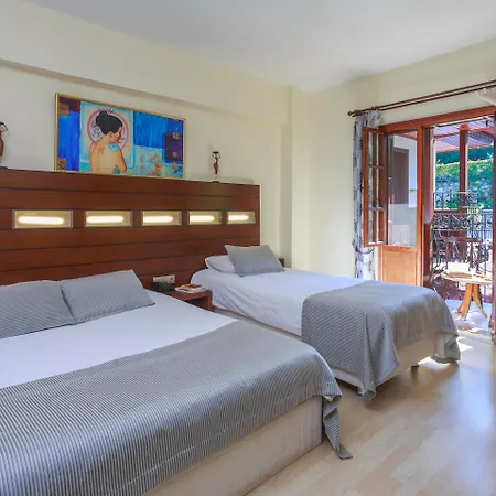 达坲迪尔别墅酒店 3* 费特希耶