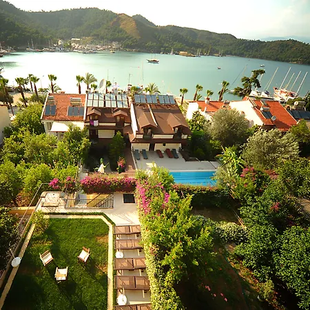 Hotel Daffodil Fethiye