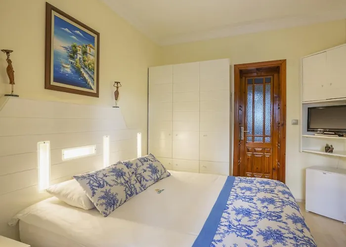 达坲迪尔别墅酒店 酒店