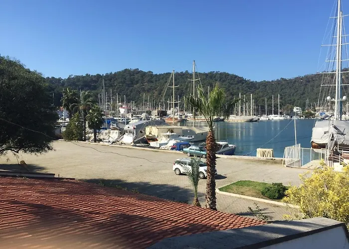 酒店 达坲迪尔别墅酒店