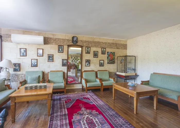 达坲迪尔别墅酒店 费特希耶