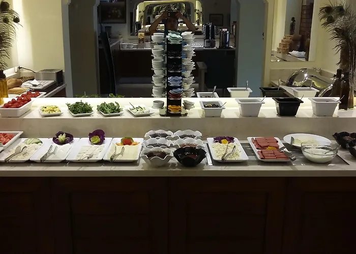 达坲迪尔别墅酒店 酒店 费特希耶