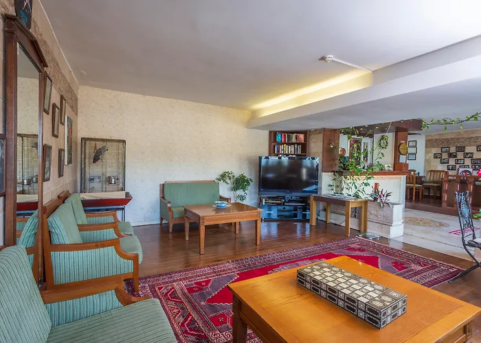 达坲迪尔别墅酒店 3* 费特希耶