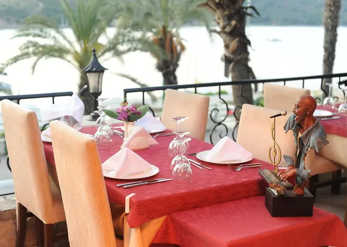 酒店 达坲迪尔别墅酒店