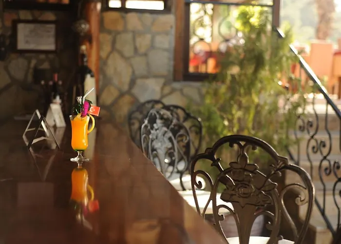 达坲迪尔别墅酒店 费特希耶