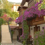 Daffodil Fethiye