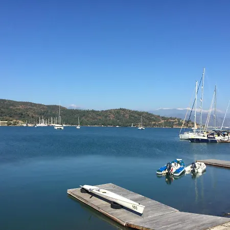 ダフォディル 3*