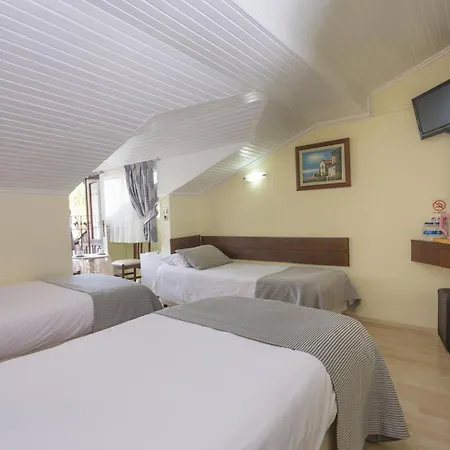 Daffodil Hotel 3*