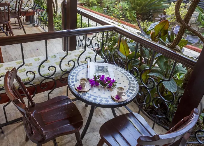 Daffodil 3* Fethiye