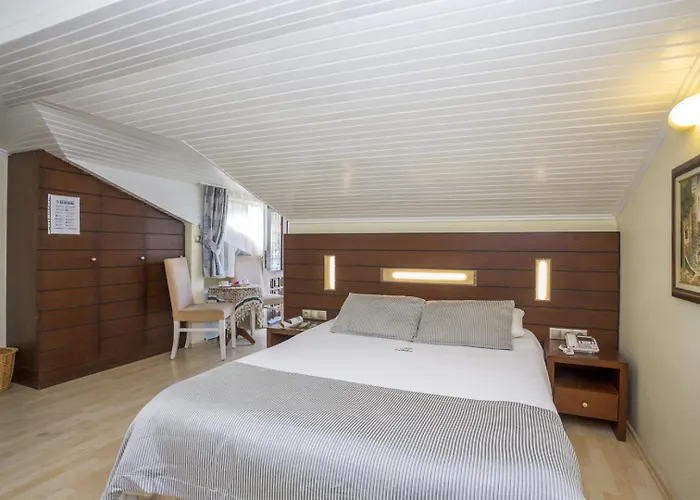 Daffodil Hotell 3*